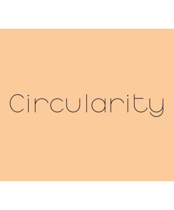 Circularity Steam Key GLOBAL